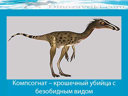 Открытки